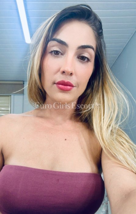 Amani - escort gallery photo 2