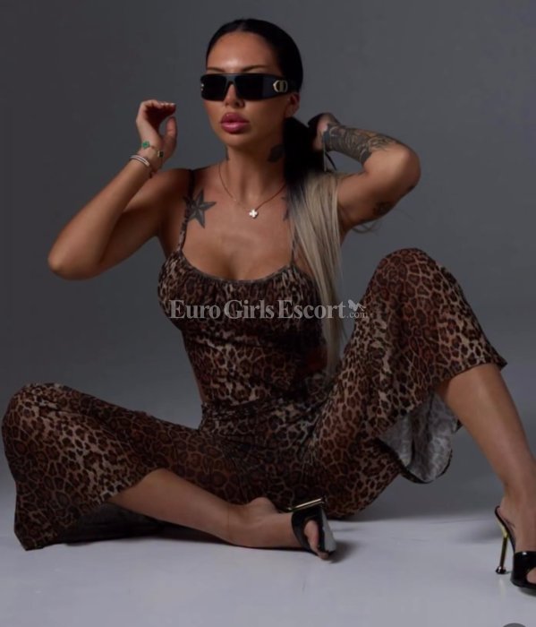 Ariana - escort gallery photo 2