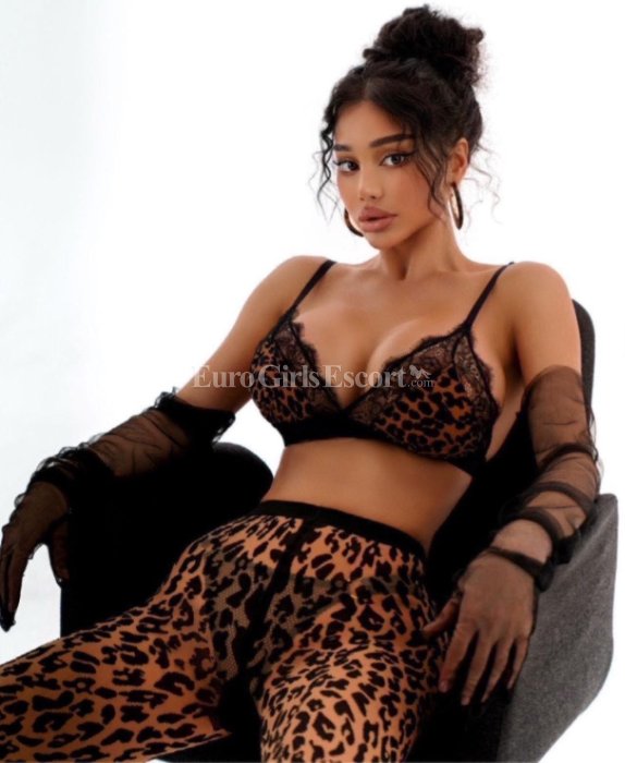 Leila - escort gallery photo 2