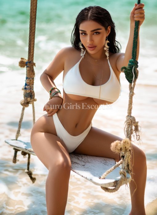 Leila - escort gallery photo 4