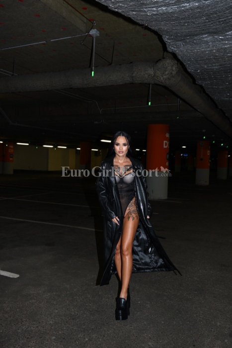Niki - escort gallery photo 2