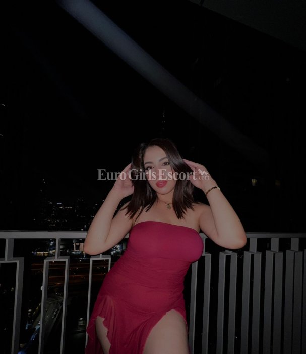 Noor - escort gallery photo 4