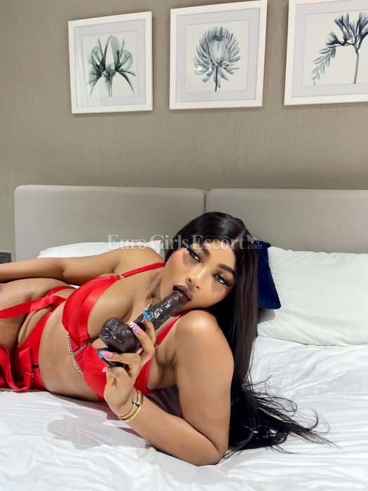 Perry - escort gallery photo 4