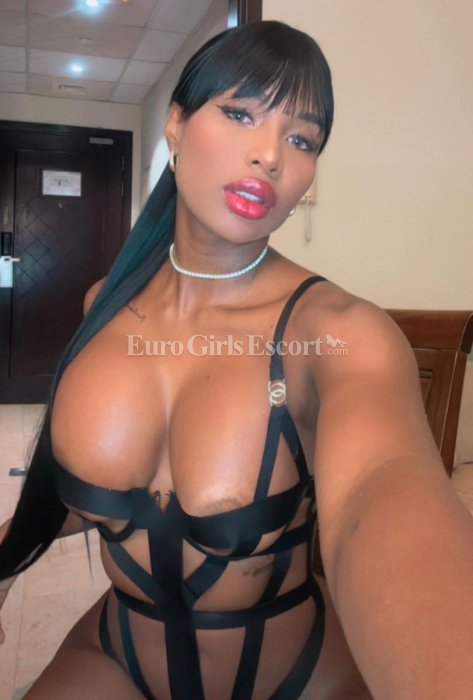 Sasha - Colombian escort in Dubai
