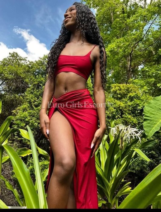 Tina - escort gallery photo 2