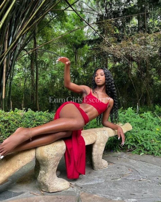 Tina - escort gallery photo 3