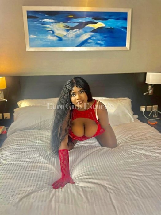 Tonia - escort gallery photo 4